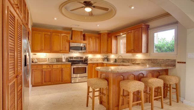 Brushstrokes Accommodation vills brushstrokes kitchen at belizean cove estate in belize