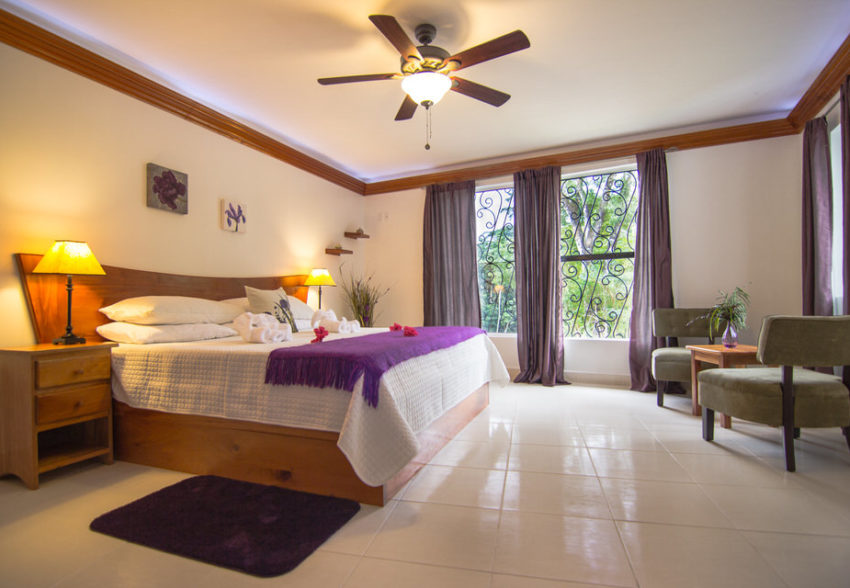 Gladiola_Suite-1 gladiola suite at bocawina belize
