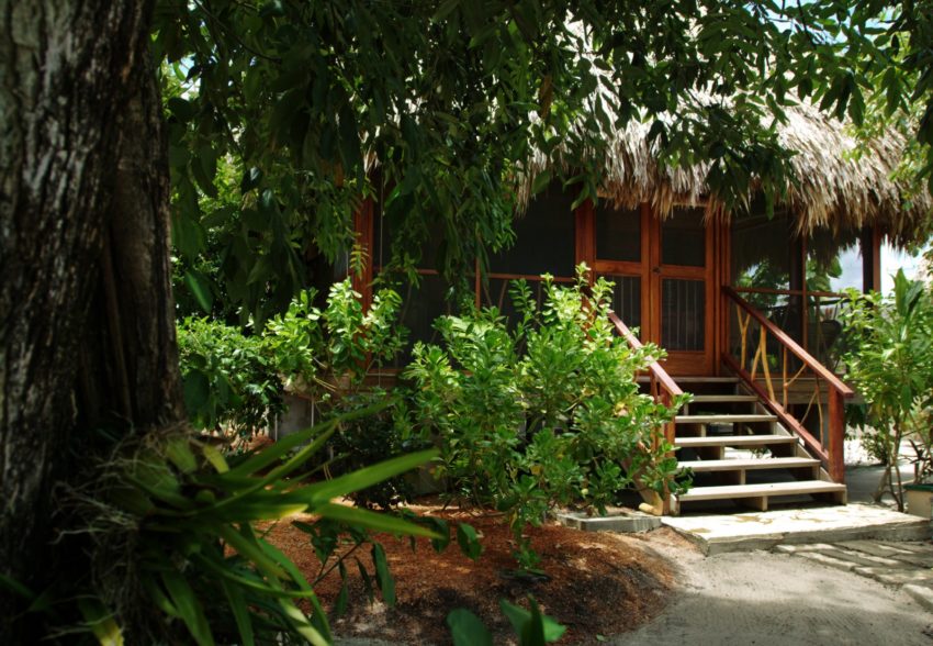 Garden View cottage garden view cottage at turtle inn beach resort
