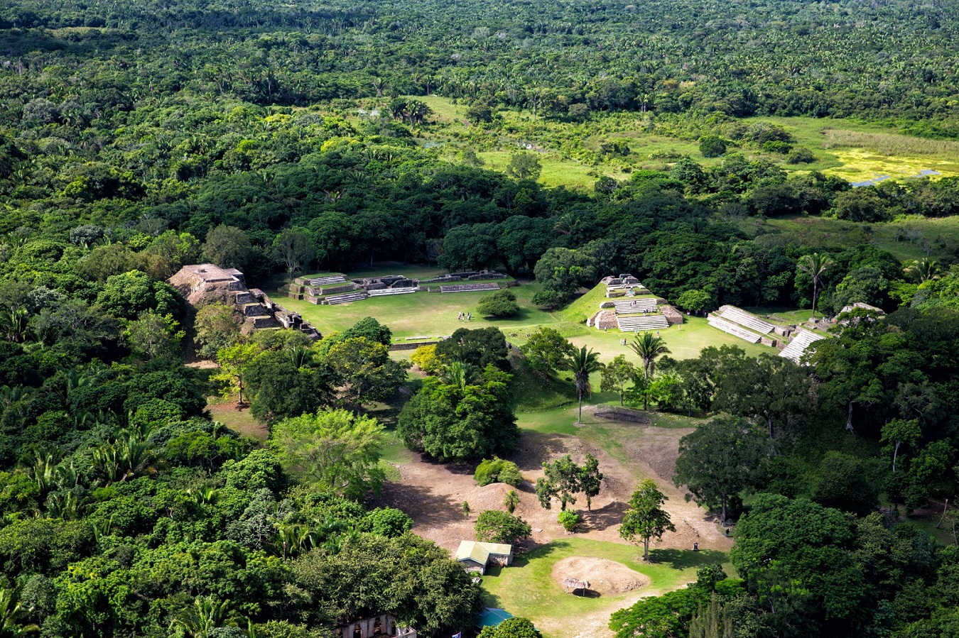 altun Ha Ruins in the jungle of belize in the belize district