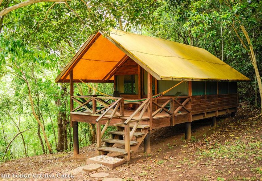 Camp Casitas macal river camping at chaa creek lodge