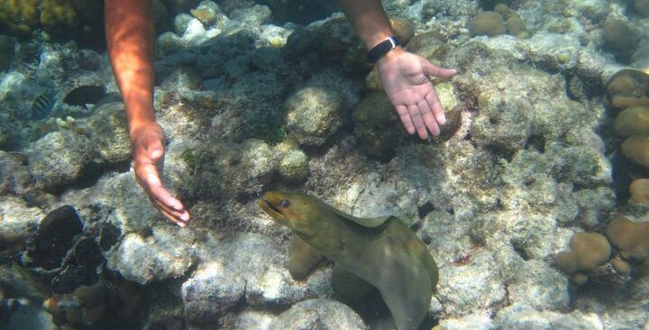 mexico rock snorkeling san pedro belize mexico rock snorkeling san pedro belize