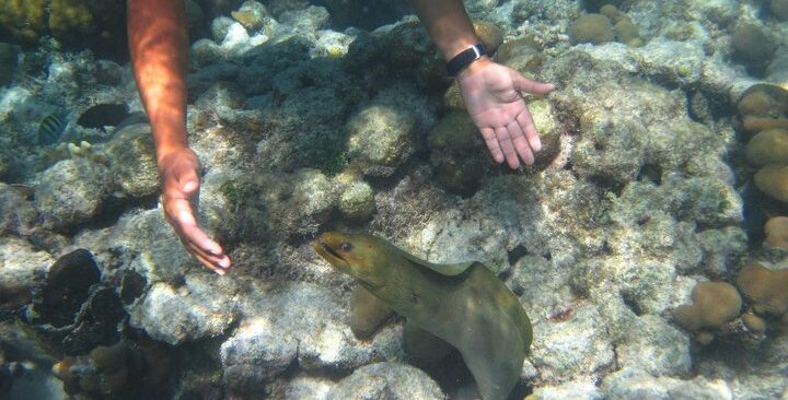 mexico rock snorkeling san pedro belize