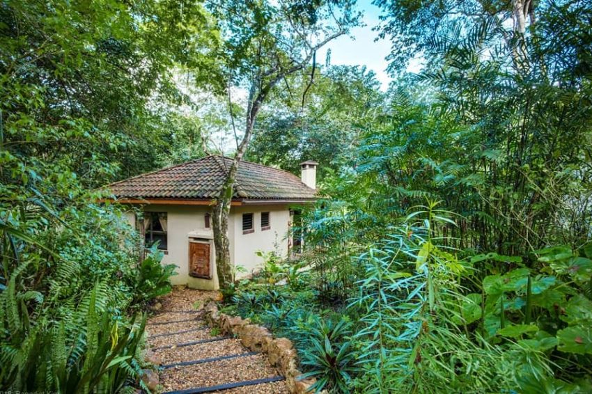 the two bedroom villa surrounded by jungle at mystic river resort in belize