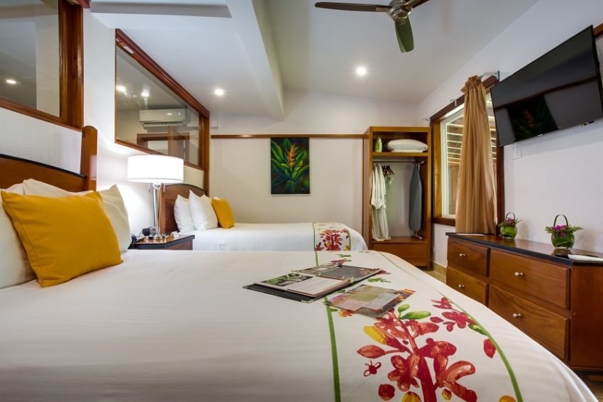 Jungle View Suite, San Ignacio Resort Hotel