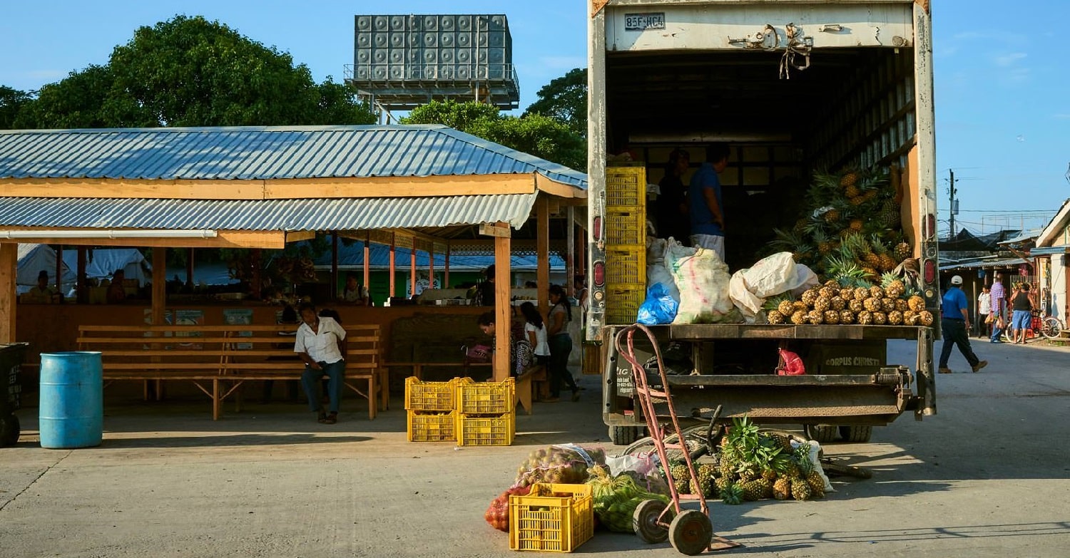 a truck with fruits in the market in downtown orange walk in belize